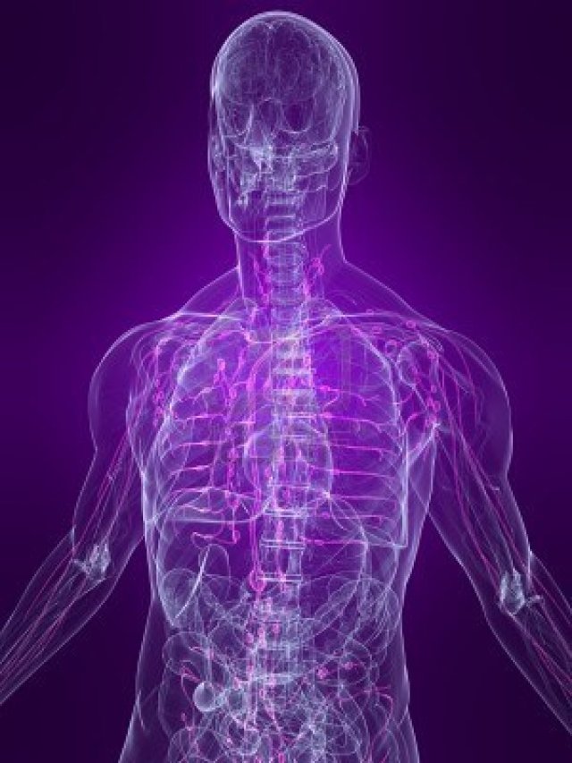 4683198-transparent-human-body-with-highlighted-lymphatic-system
