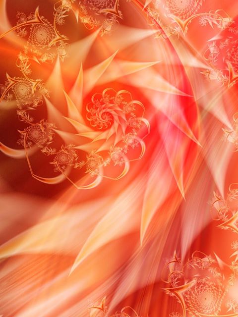 481955_152922771535497_521732881_n