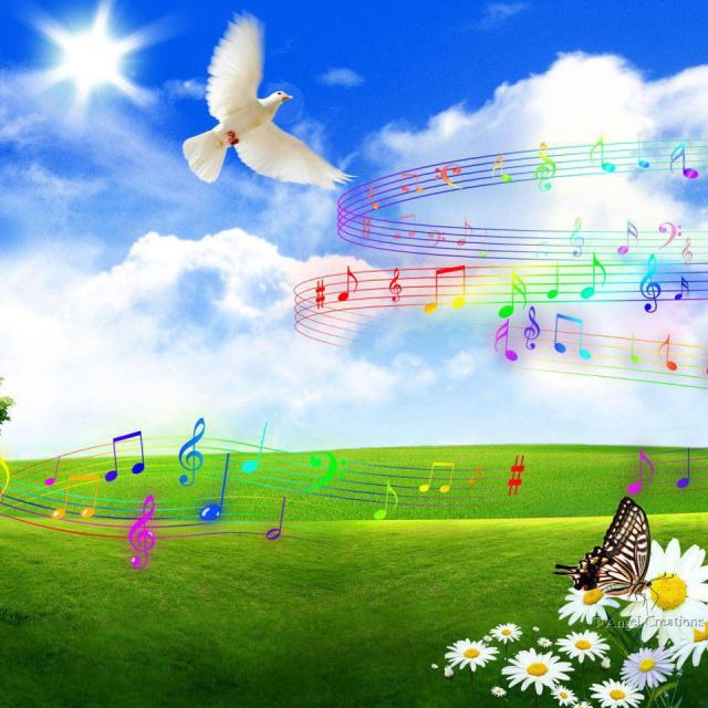 485360_537298499638046_1544872030_n