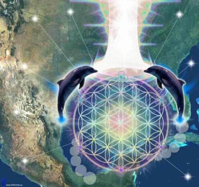 486216_471861916185838_1164184760_n