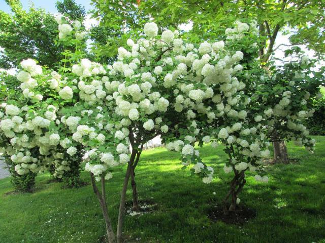 487281_613927001953485_104082877_n