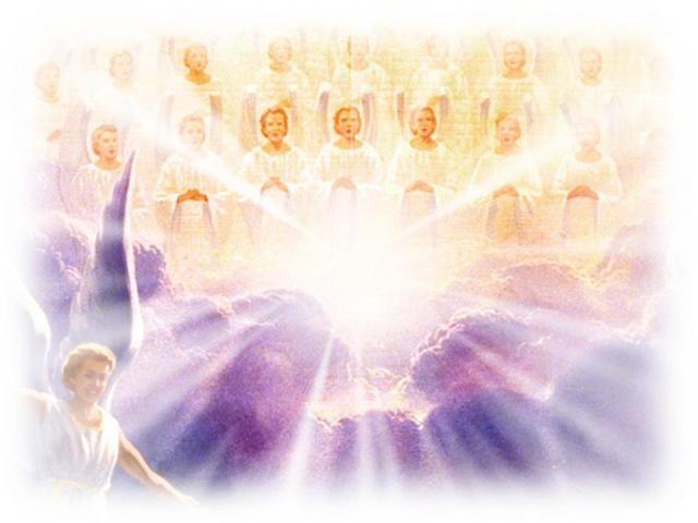 521639_113448495502296_649176224_n