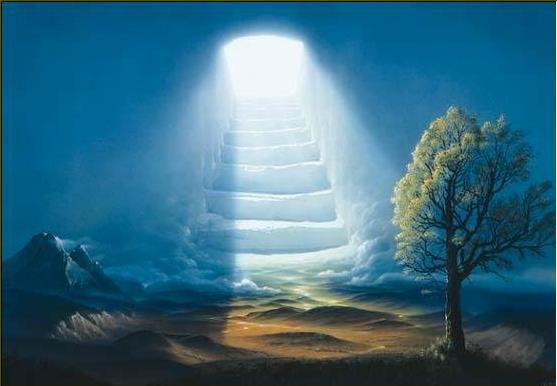 524341_274276509352583_2119940431_n