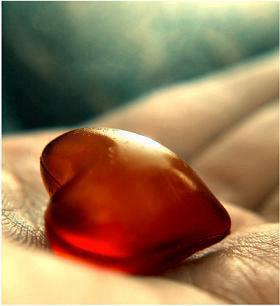 528502_3749154698513_1485884542_n