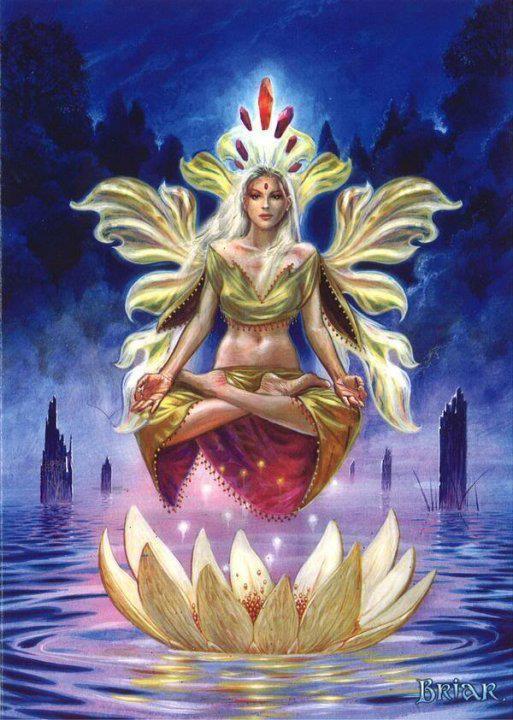 539505_351295984952834_1711630540_n