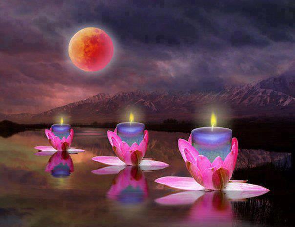 543750_493936553995150_1972699473_n