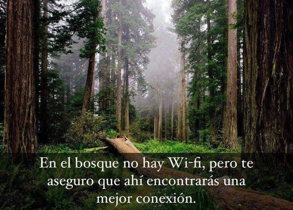 598890_553066598047820_2063480919_n