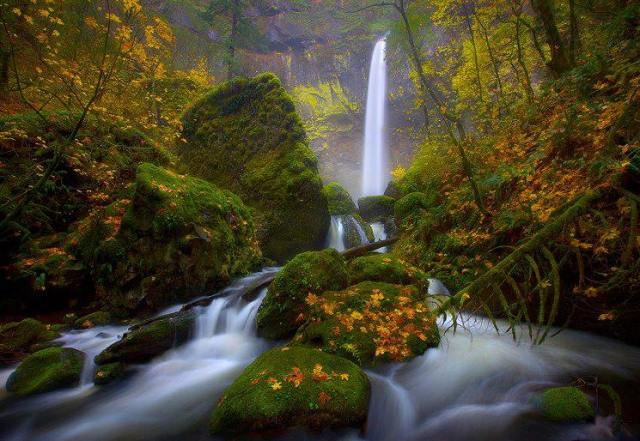 7110_630630913627181_284676931_n