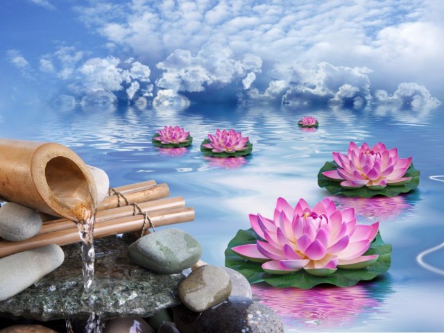 906758_568982213135025_1245412839_o