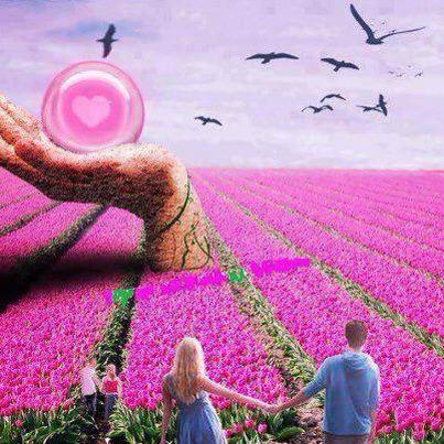 936925_345918915537153_2029233754_n