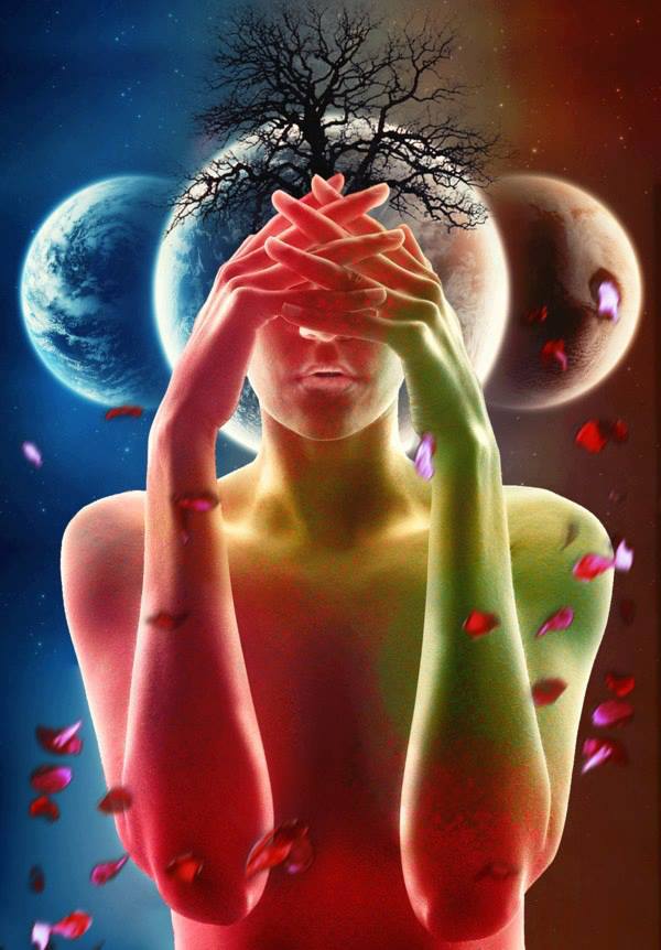 941527_527050897331460_906982005_n