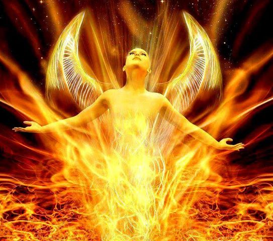 942549_523772514325965_1167900069_n