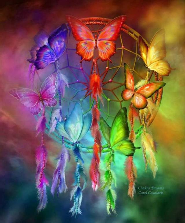 942991_582837965089685_775959785_n