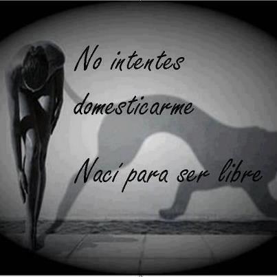 946404_464742196933389_276629027_n