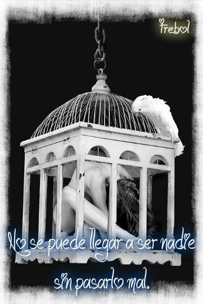 969302_469895613084714_253976979_n