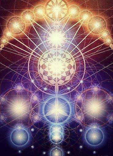 969765_343064169130230_530379852_n