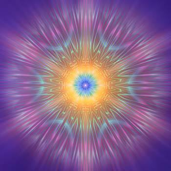 969964_258268204316448_1256020414_n