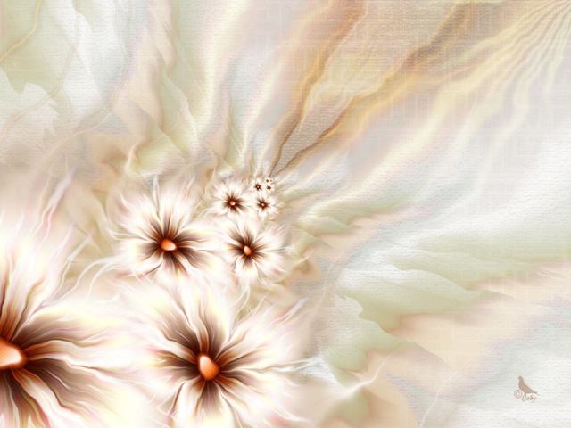 970035_600764266601504_460418961_n