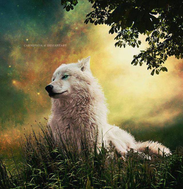 971240_4893171094251_968393373_n