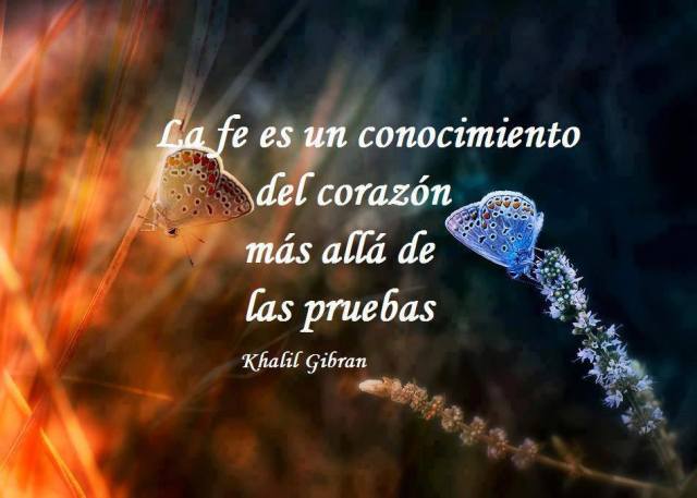 972160_652118098136969_2102691184_n