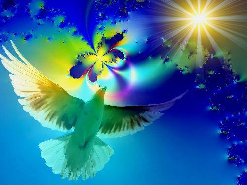 972199_151218501728462_51454284_n