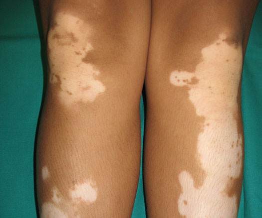 97ba860d-1aef-4425-ab74-c08a0de0fc59