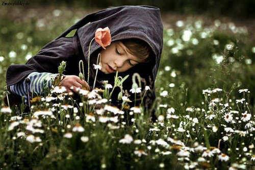 993012_632226823473884_244053643_n