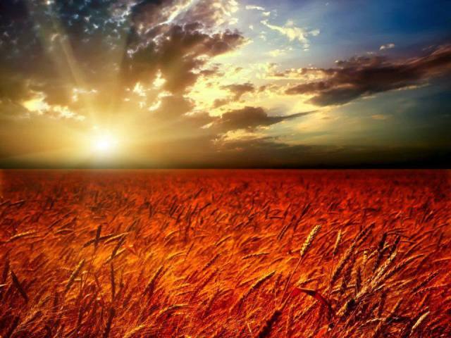 998372_522325317823256_1662114741_n