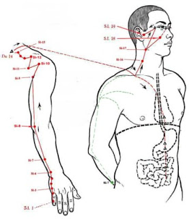 meridiano-intestino-delgado
