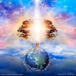 n43773062509_1332257_6714