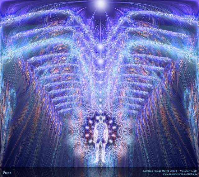 1000702_398260493615729_312130821_n