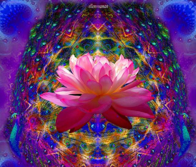 1000865_10201514543086368_946055480_n