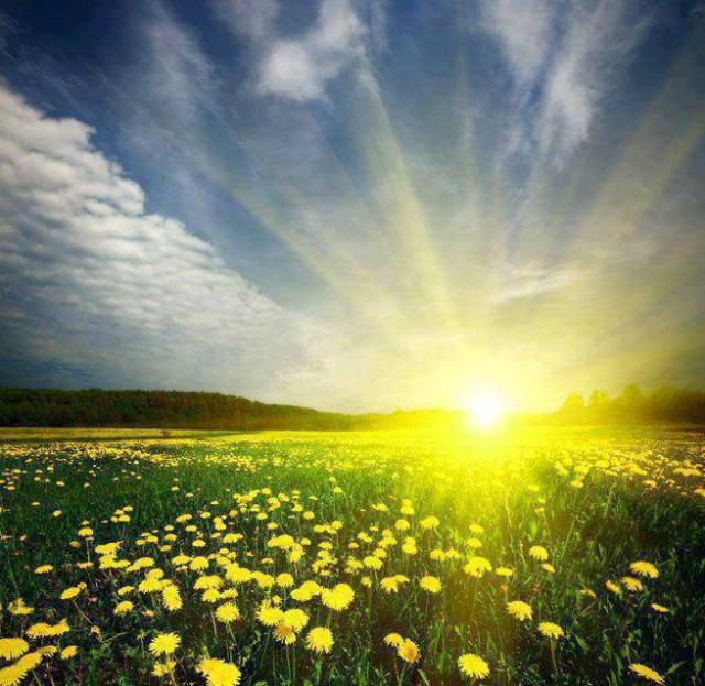 1002871_379869475469908_1793640723_n