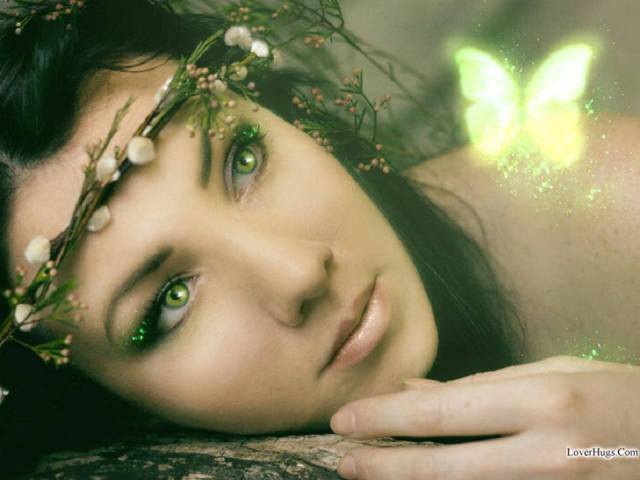 1003094_354948277941585_1484038407_n