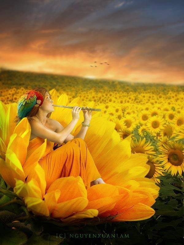 1003700_397552710350587_1944803011_n