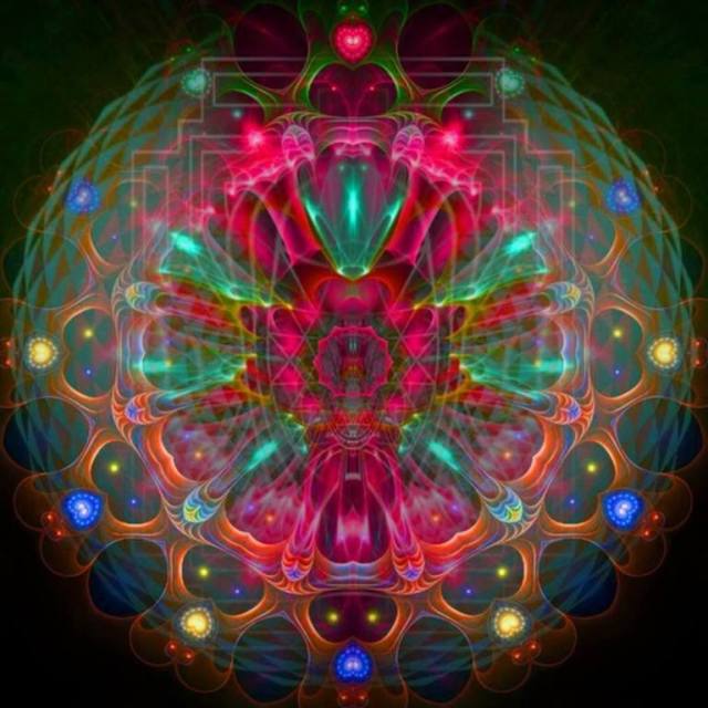 1003840_388112071297238_1113831658_n