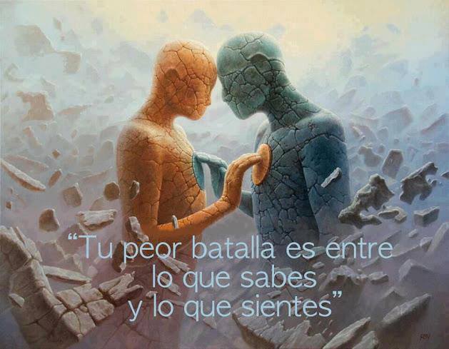 1004443_673215379359788_2082789977_n