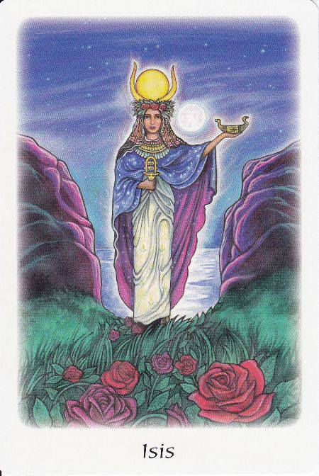 1005414_617431681601915_1310939023_n