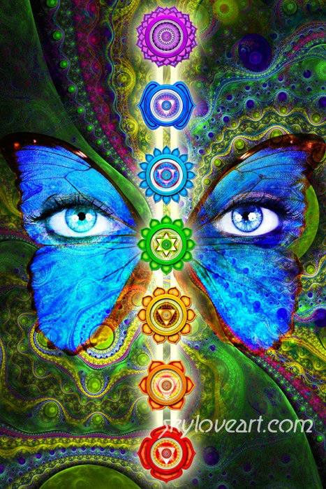 1005564_515276365205662_273308011_n