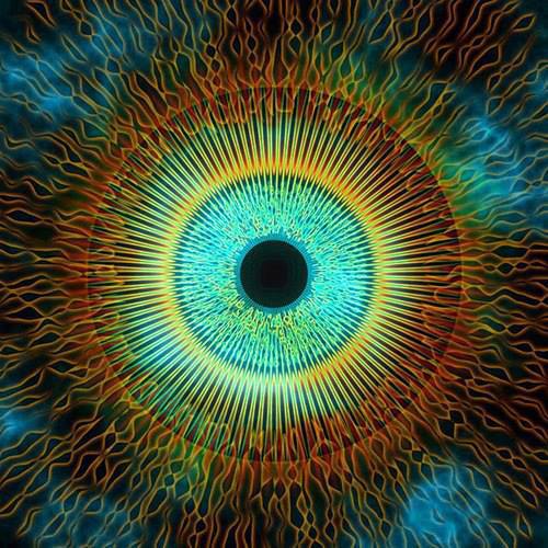 1010038_396594177115694_541894503_n