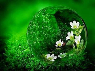 1010174_657093307650570_132089283_n