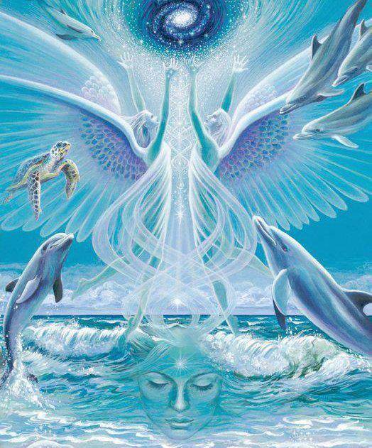 1010175_168974359951755_1441770769_n