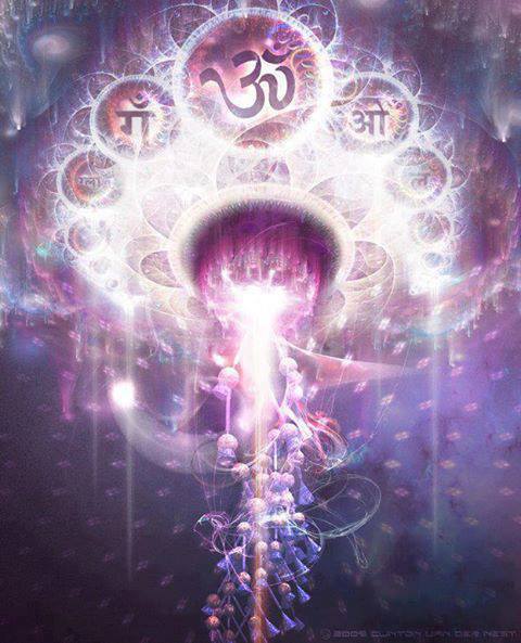 1010520_389854764456302_1630487934_n