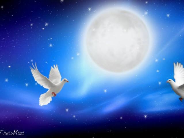 1015729_418535914928873_480788589_o