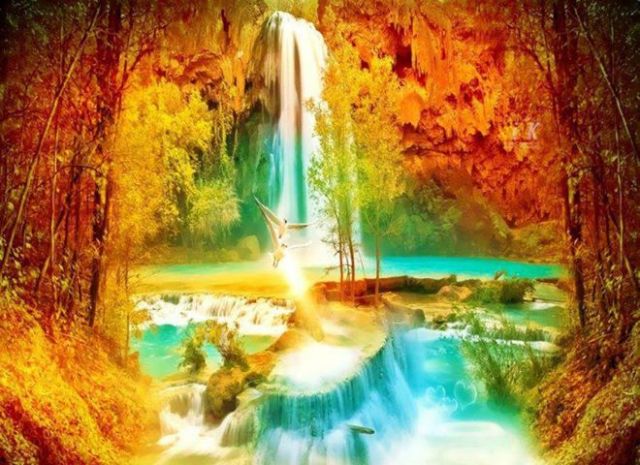 1016394_479665502123342_1437767225_n