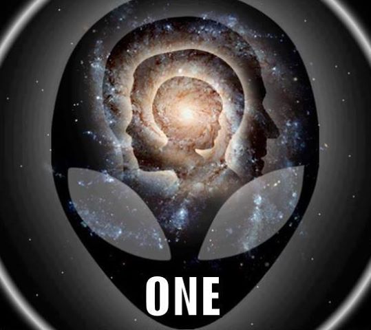 1017226_650340148312926_1779067241_n