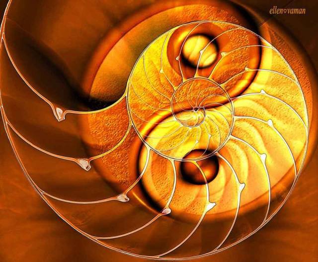 1069804_538780899492189_185983663_n