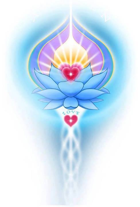 1069860_581744828535257_154977318_n