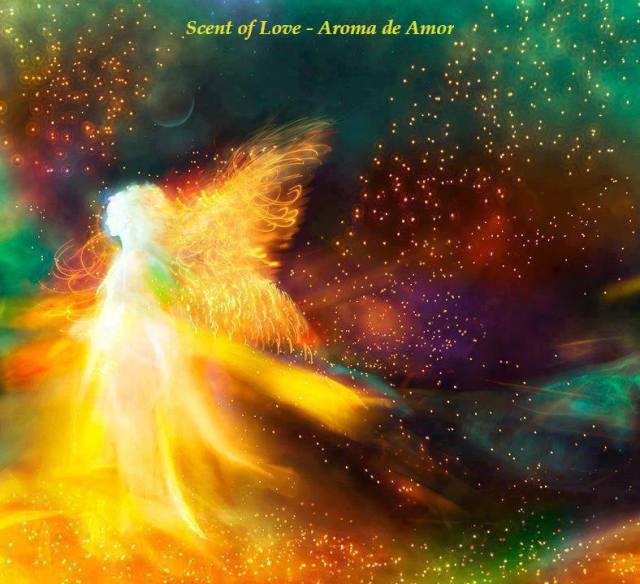 14791_578841155501341_210459633_n