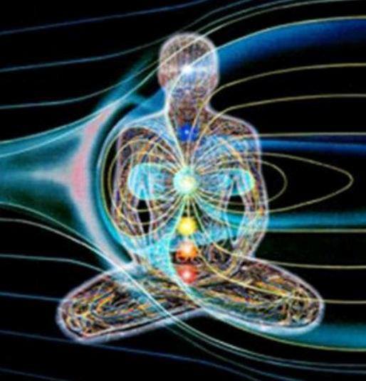 21115_4882528708198_1455408557_n